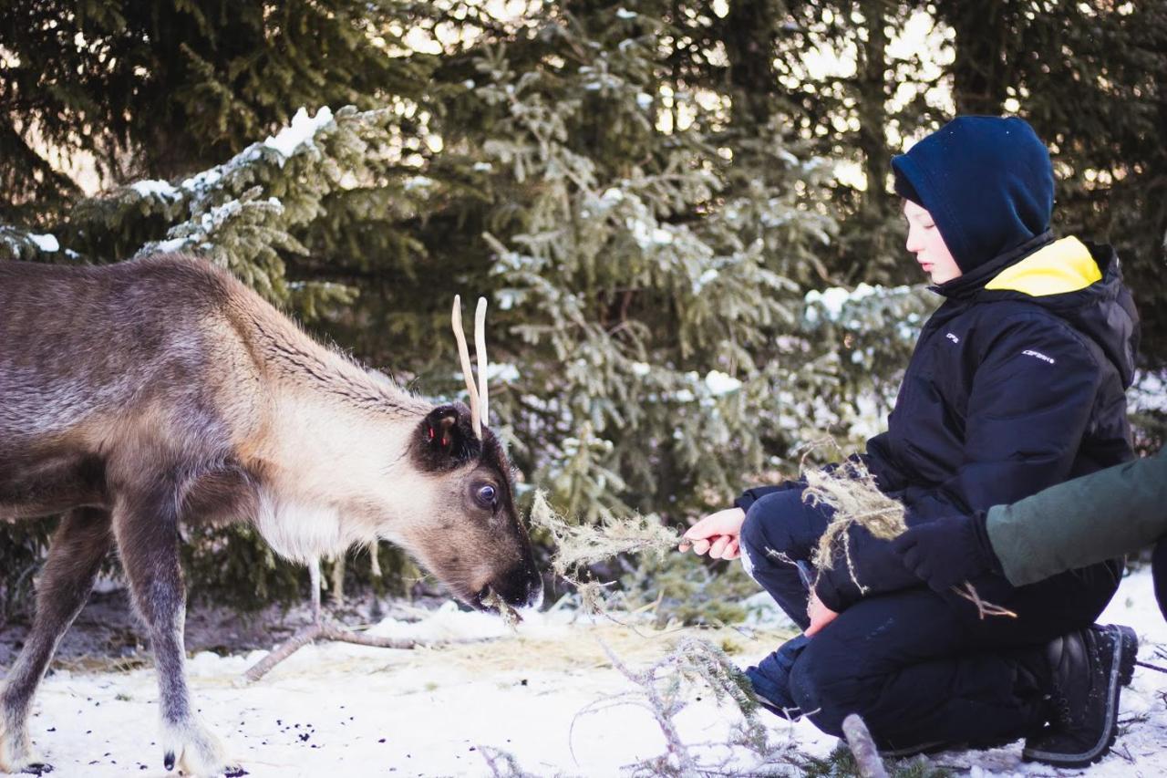 Vila Beautiful Rural Experience With Reindeer Tervola Exteriér fotografie