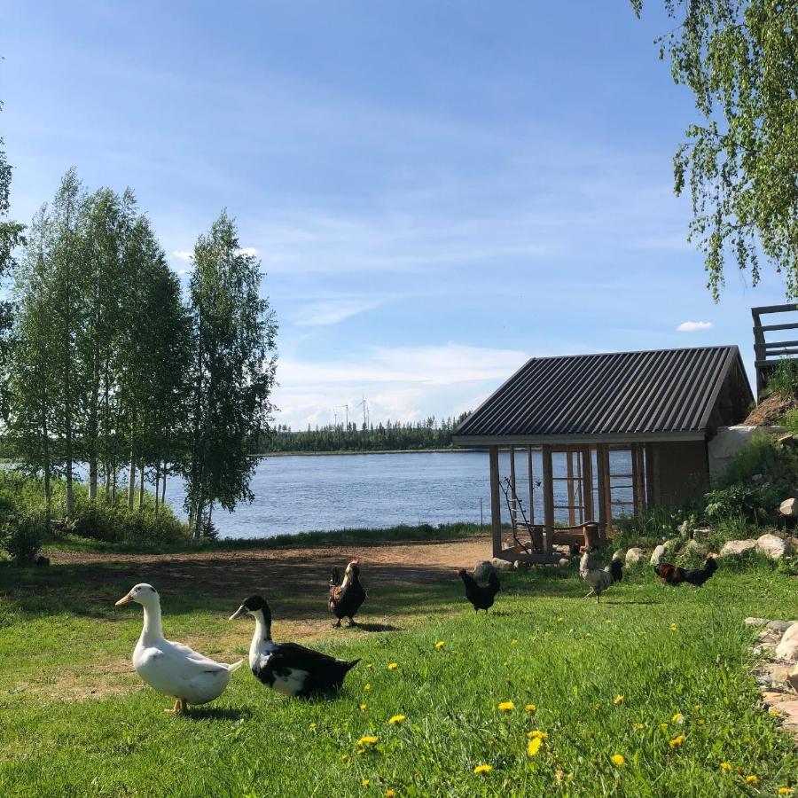 Vila Beautiful Rural Experience With Reindeer Tervola Exteriér fotografie