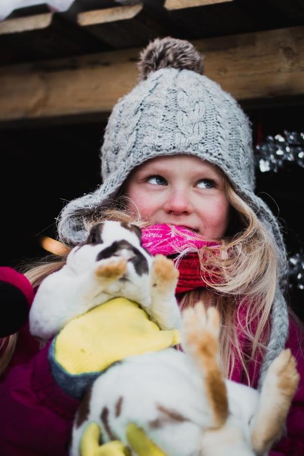 Vila Beautiful Rural Experience With Reindeer Tervola Exteriér fotografie